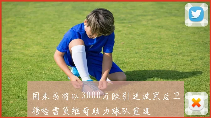 国米或将以3000万欧引进波黑后卫穆哈雷莫维奇助力球队重建